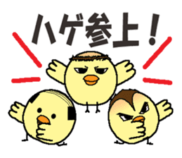 Bald bird three brothers sticker #9934275