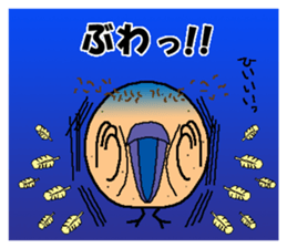 Bald bird three brothers sticker #9934293