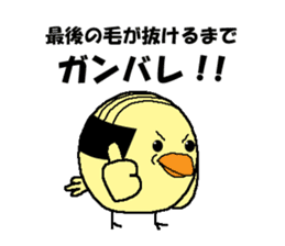Bald bird three brothers sticker #9934294