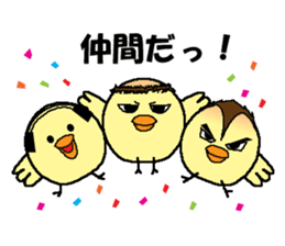 Bald bird three brothers sticker #9934300