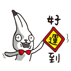 DOT rabbit  HAPPY NEW YEARS