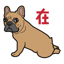 French bulldog  Chinese  Sticker sticker #9936958