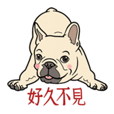 French bulldog  Chinese  Sticker sticker #9936964