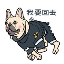 French bulldog  Chinese  Sticker sticker #9936965