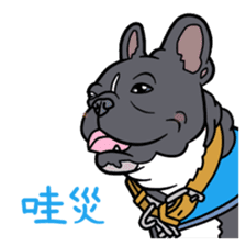 French bulldog  Chinese  Sticker sticker #9936970