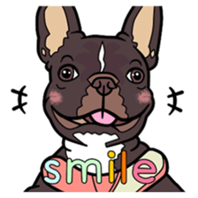 French bulldog  Chinese  Sticker sticker #9936974