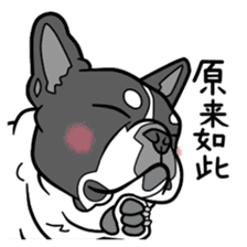 French bulldog  Chinese  Sticker sticker #9936980