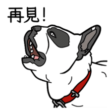 French bulldog  Chinese  Sticker sticker #9936985