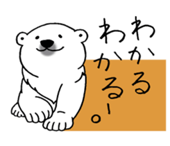 Polar bear baby. sticker #9937724