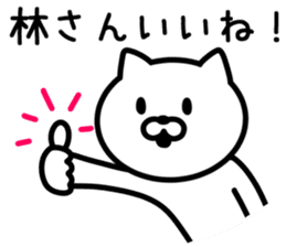 Cat to HAYASHI sticker #9938354