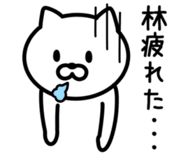 Cat to HAYASHI sticker #9938380