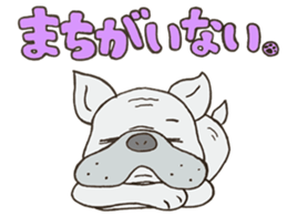 ANIMALS present YUTORI GENERATION 2 sticker #9938915