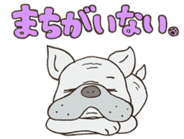 ANIMALS present YUTORI GENERATION 2 sticker #9938915
