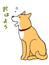 Close dog&cat sticker #9940392