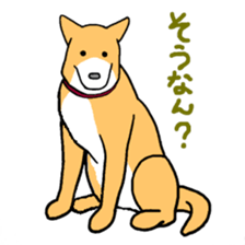 Close dog&cat sticker #9940393