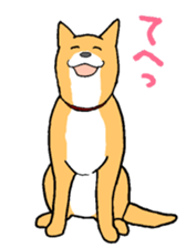 Close dog&cat sticker #9940394