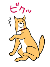 Close dog&cat sticker #9940395