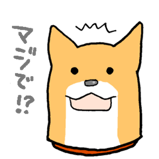 Close dog&cat sticker #9940401