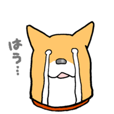 Close dog&cat sticker #9940403