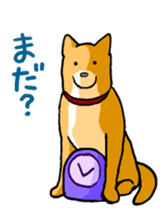 Close dog&cat sticker #9940408