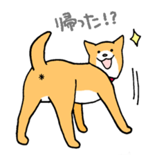 Close dog&cat sticker #9940409