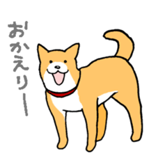 Close dog&cat sticker #9940410