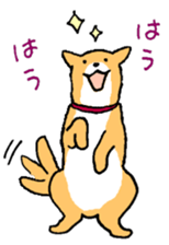 Close dog&cat sticker #9940411