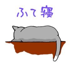 Close dog&cat sticker #9940413