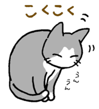 Close dog&cat sticker #9940414