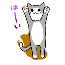 Close dog&cat sticker #9940415