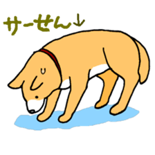 Close dog&cat sticker #9940416