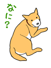 Close dog&cat sticker #9940418