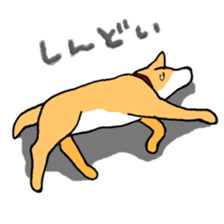 Close dog&cat sticker #9940419