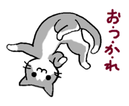 Close dog&cat sticker #9940420