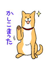 Close dog&cat sticker #9940424