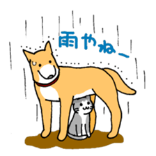 Close dog&cat sticker #9940429