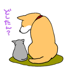 Close dog&cat sticker #9940430