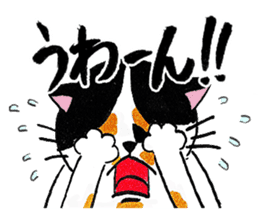 Japanese cat MIYOKO sticker #9941320