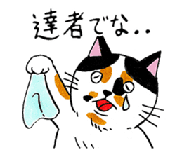 Japanese cat MIYOKO sticker #9941321