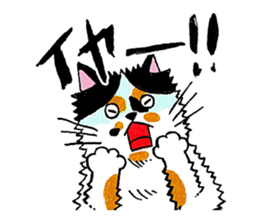 Japanese cat MIYOKO sticker #9941323