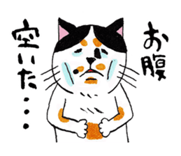 Japanese cat MIYOKO sticker #9941333