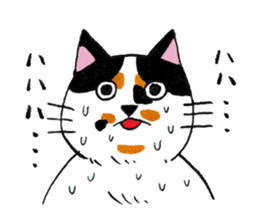 Japanese cat MIYOKO sticker #9941338