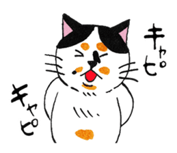 Japanese cat MIYOKO sticker #9941340