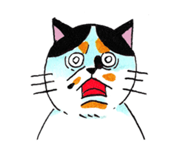 Japanese cat MIYOKO sticker #9941347