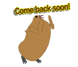 King penguin Episode 1 sticker #9944546