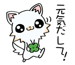 White & cute puppy. sticker #9944564