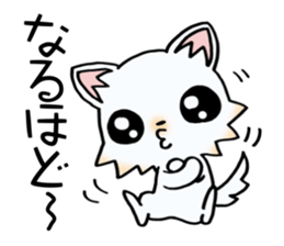 White & cute puppy. sticker #9944566