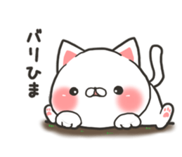 Kyushu Hakata cat sticker #9944696