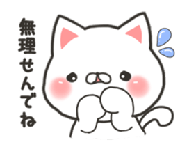 Kyushu Hakata cat sticker #9944708