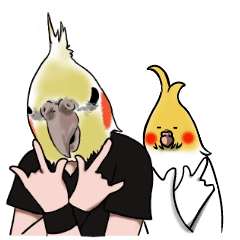 Creatures such as the cockatiel 2